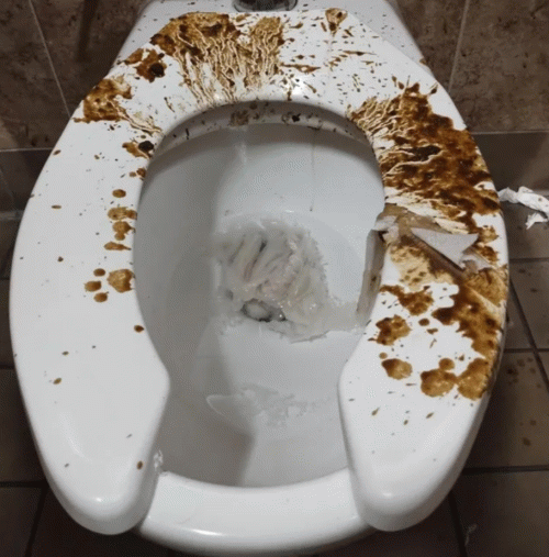 Diarrhea Pool : Shit Disclosure